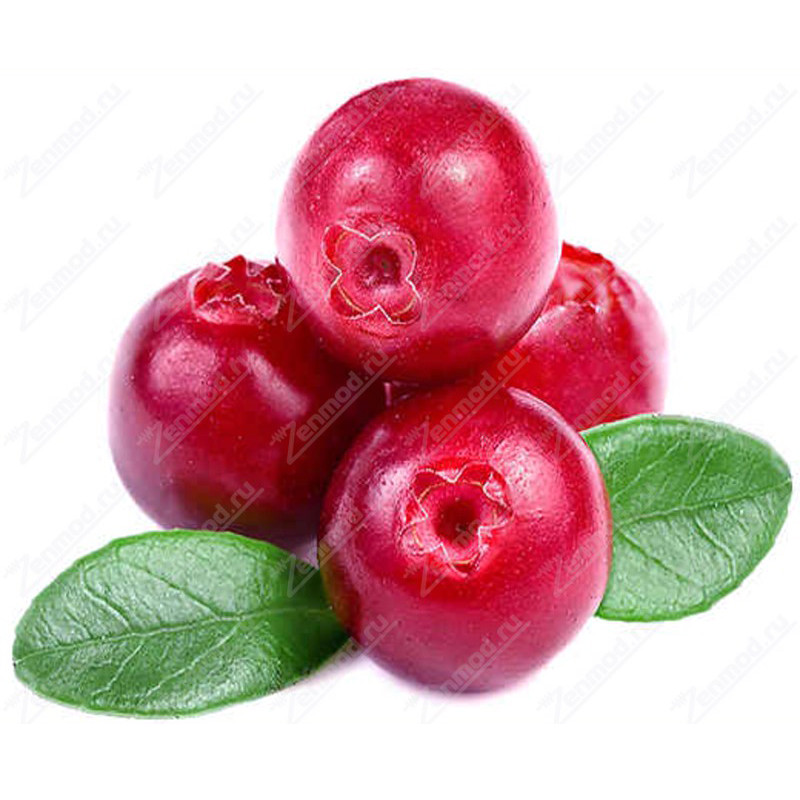 Фото и внешний вид — TPA - Cranberry 10мл