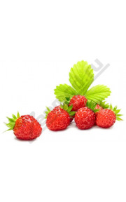 Gooddrip - Forest Berry 10мл