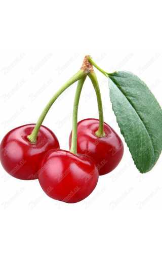 Gooddrip - Cherry Bomb 10мл