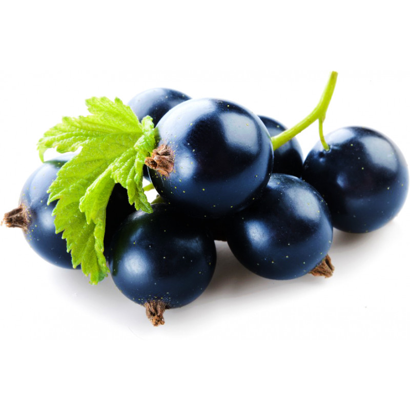 Фото и внешний вид — Capella SL - Black Currant 10мл