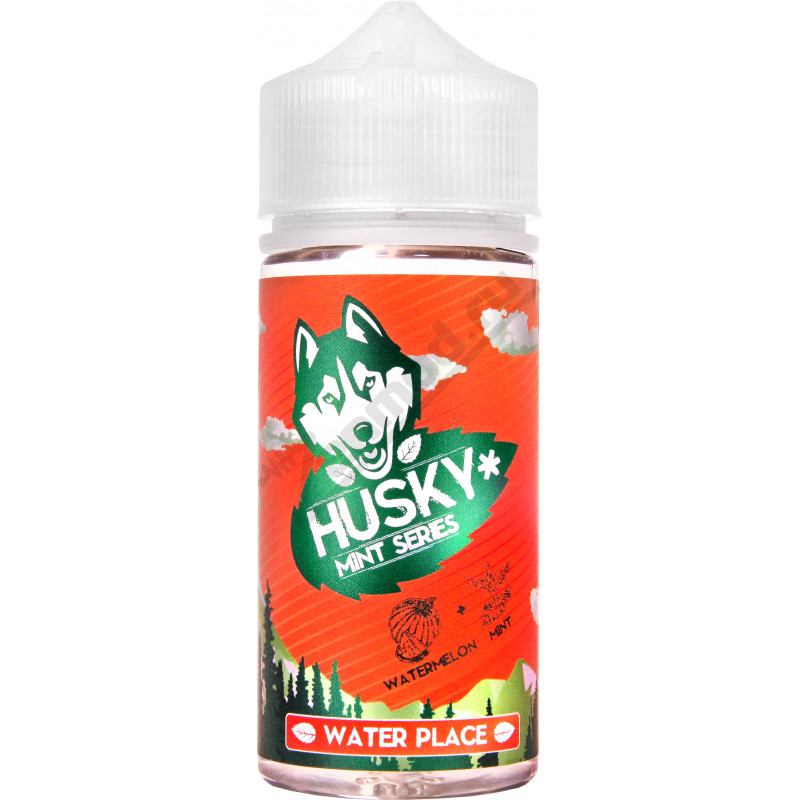 Фото и внешний вид — HUSKY Mint Series - Water Place 100мл