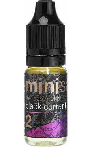 Mini SALT - Black Currant 10мл