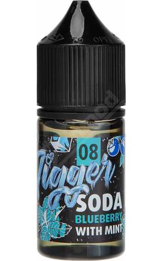 PANDA'S JIGGER SALT - №8 Soda Blueberry With Mint 30мл