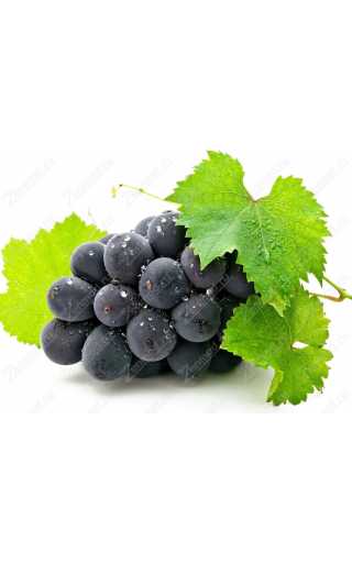 Exotic - Виноград 10мл