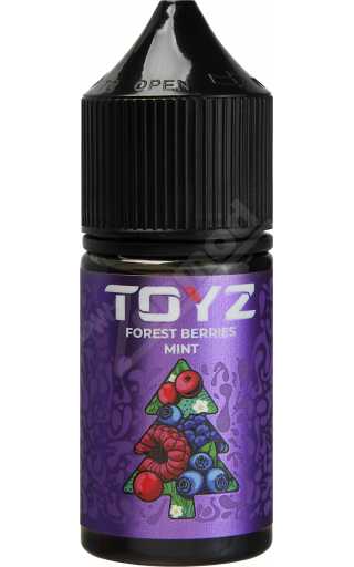 TOYZ SALT - Forest Berries Mint 30мл