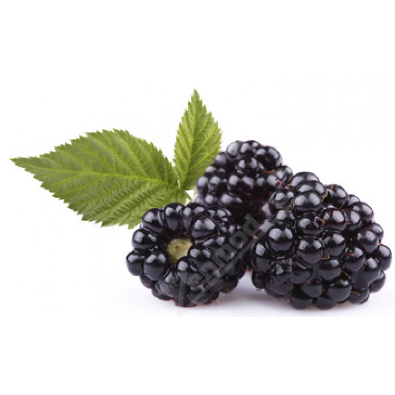 Фото и внешний вид — TPA - Boysenberry 10мл