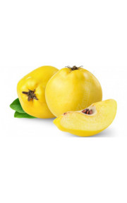TPA - Quince 10мл
